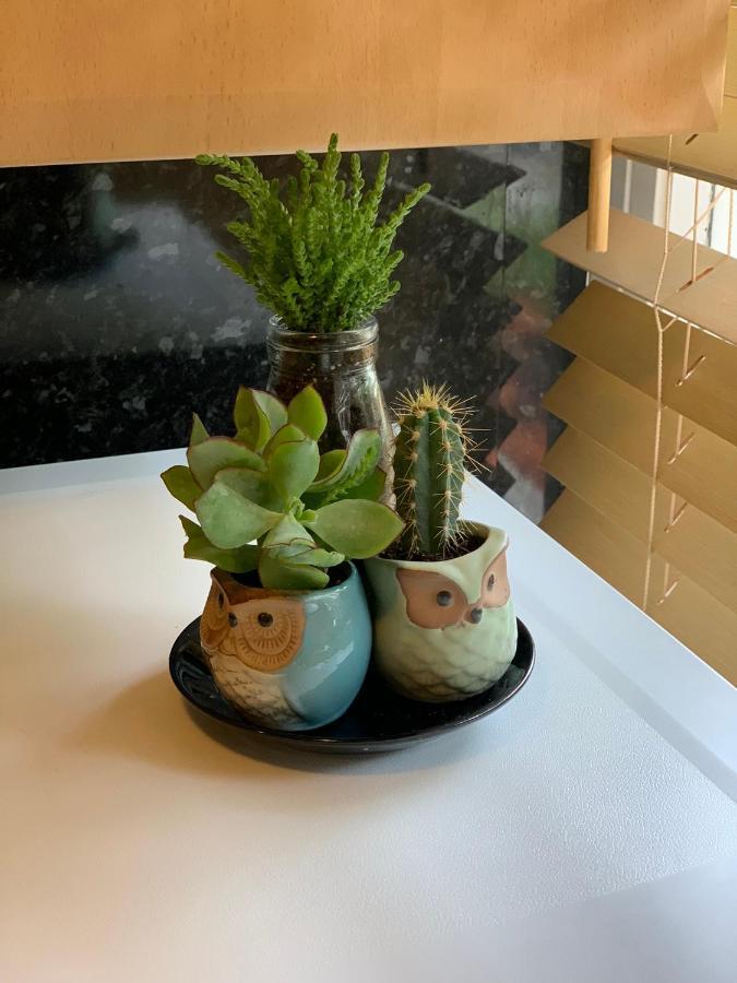 Апартаменты Garden Beautiful Cozy Flat , Recent Decorated. Лондон Экстерьер фото